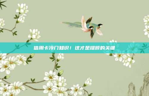 信用卡冷门知识!这才是提额的关键