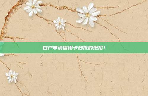 白户申请信用卡秒批的绝招！