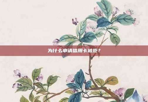 为什么申请信用卡被拒？