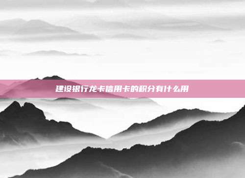建设银行龙卡信用卡的积分有什么用