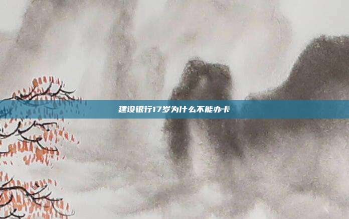 建设银行17岁为什么不能办卡