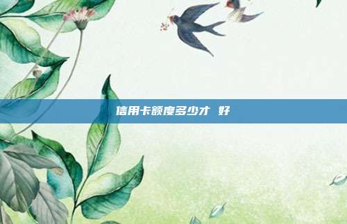 信用卡额度多少才 好