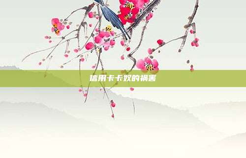 信用卡卡奴的祸害