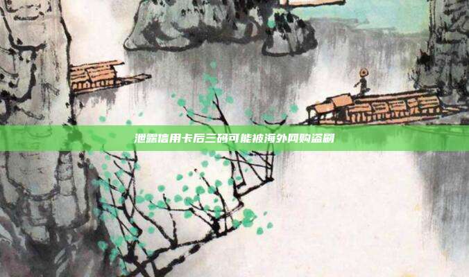 泄露信用卡后三码可能被海外网购盗刷