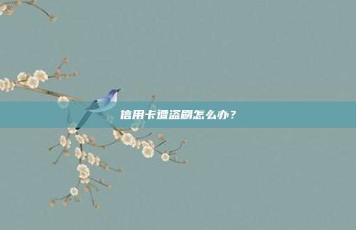 信用卡遭盗刷怎么办？