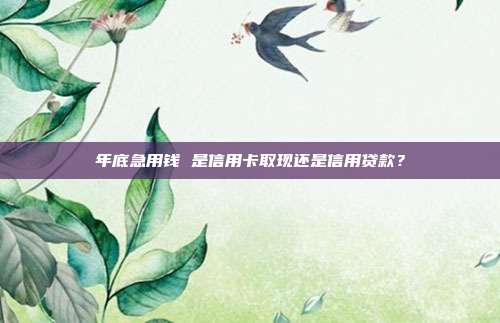 年底急用钱 是信用卡取现还是信用贷款?