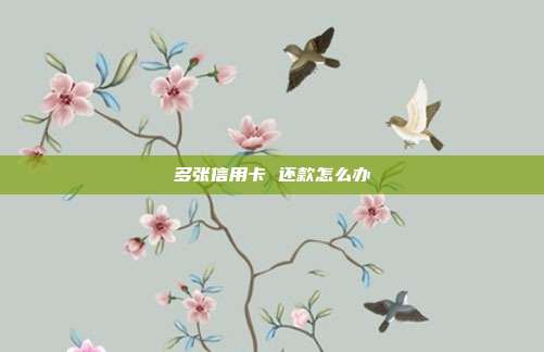 多张信用卡 还款怎么办