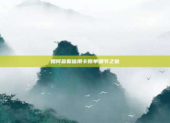 如何查看信用卡账单细节之处