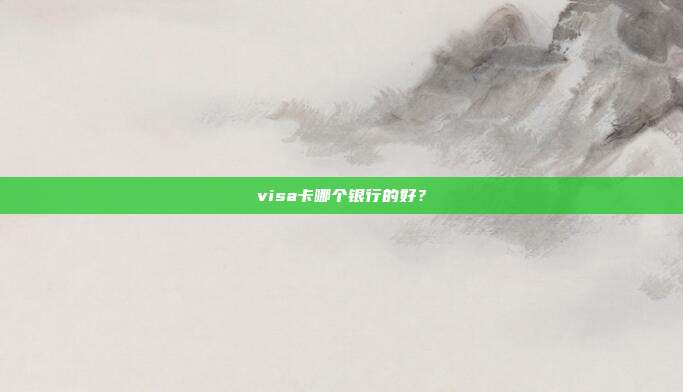 visa卡哪个银行的好？