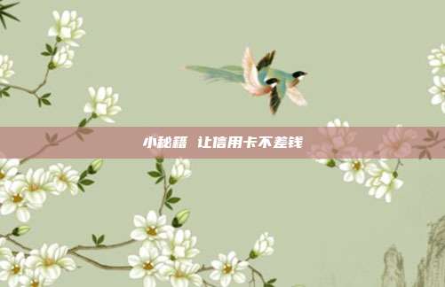 小秘籍 让信用卡不差钱