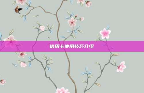 信用卡使用技巧介绍