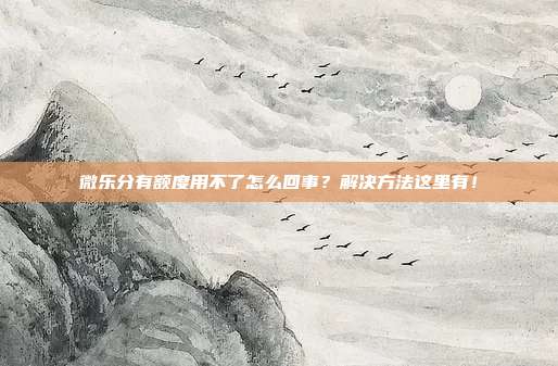 微乐分有额度用不了怎么回事？解决方法这里有！