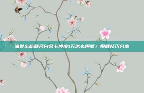 浦发东航联名白金卡额度1万怎么提额？提额技巧分享