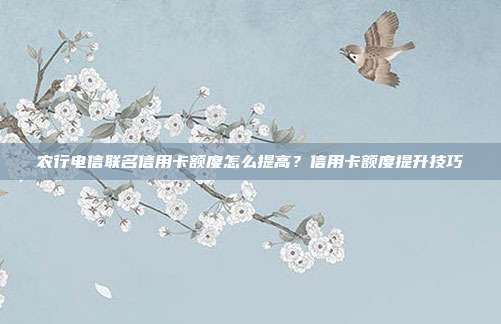 农行电信联名信用卡额度怎么提高？信用卡额度提升技巧