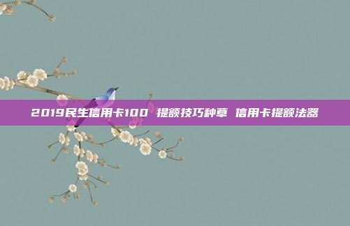 2019民生信用卡100 提额技巧种草 信用卡提额法器