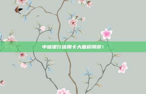 中信银行信用卡大面积降额！