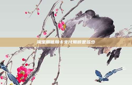 淘宝用信用卡支付限额是多少