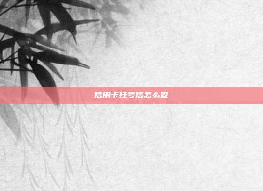 信用卡挂号信怎么查