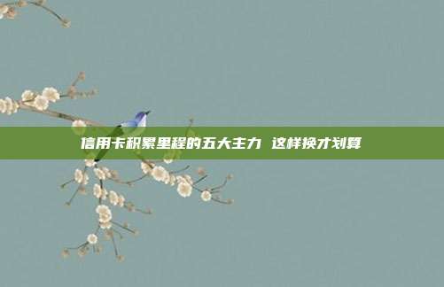信用卡积累里程的五大主力 这样换才划算