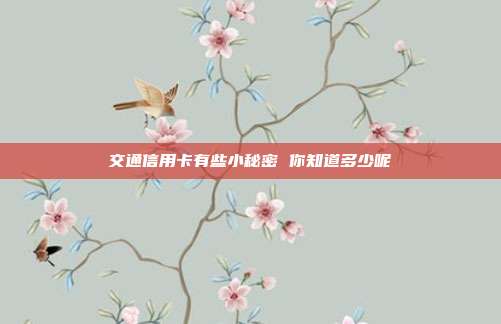 交通信用卡有些小秘密 你知道多少呢