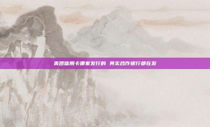 美团信用卡哪家发行的 其实合作银行都在发