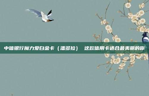 中信银行魔力爱白金卡(潘多拉) 这款信用卡适合最美丽的你