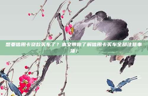 想要信用卡贷款买车了？本文带你了解信用卡买车全部注意事项！