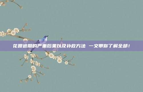 花呗逾期的严重后果以及补救方法 一文带你了解全部！