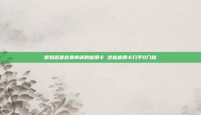 想知道最容易申请的信用卡 这些信用卡几乎0门槛