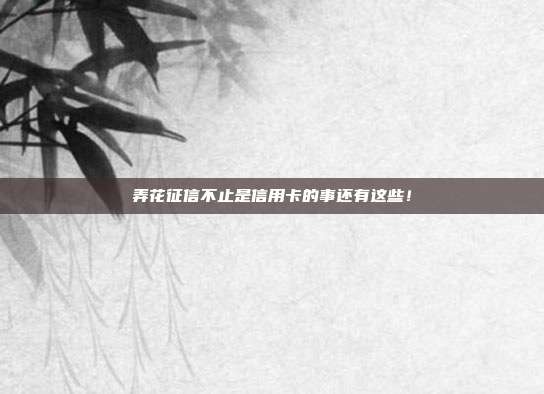 弄花征信不止是信用卡的事还有这些!