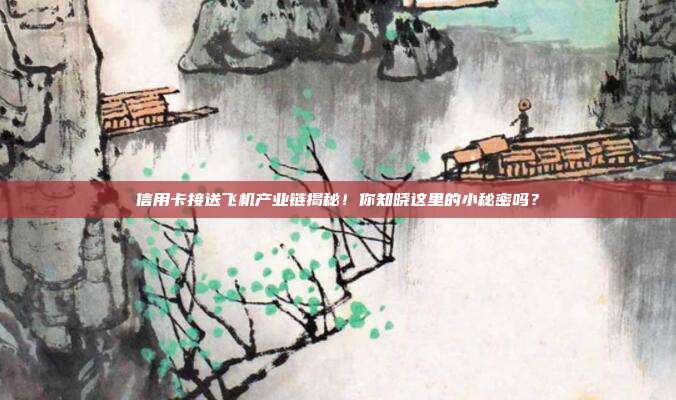 信用卡接送飞机产业链揭秘！你知晓这里的小秘密吗？