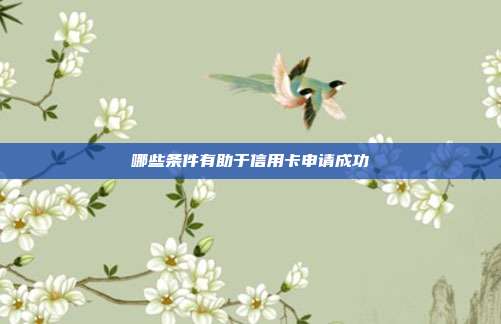 哪些条件有助于信用卡申请成功