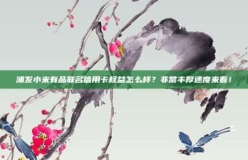 浦发小米有品联名信用卡权益怎么样？非常丰厚速度来看！