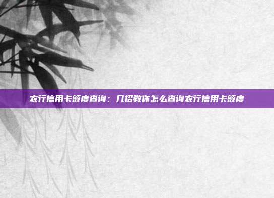 农行信用卡额度查询:几招教你怎么查询农行信用卡额度
