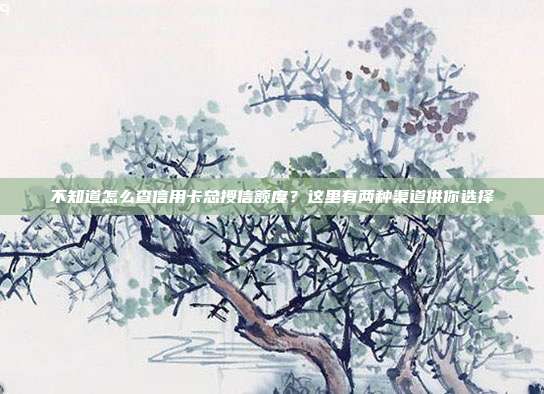 不知道怎么查信用卡总授信额度？这里有两种渠道供你选择