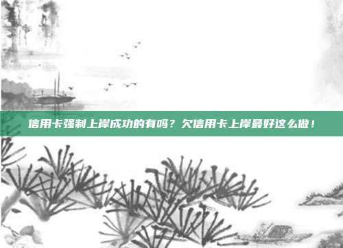 信用卡强制上岸成功的有吗？欠信用卡上岸最好这么做！