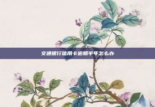 交通银行信用卡逾期半年怎么办