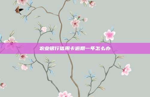 农业银行信用卡逾期一年怎么办