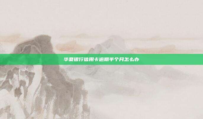 华夏银行信用卡逾期半个月怎么办