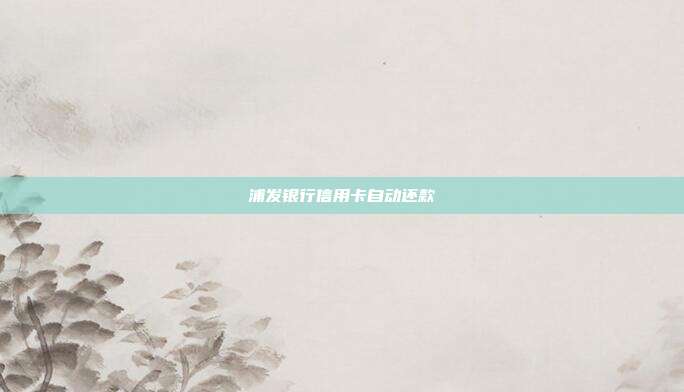 浦发银行信用卡自动还款
