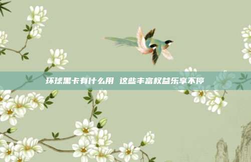 环球黑卡有什么用 这些丰富权益乐享不停