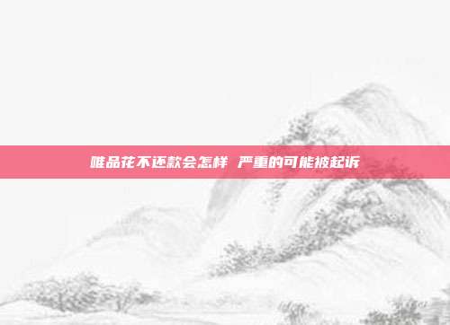 唯品花不还款会怎样 严重的可能被起诉