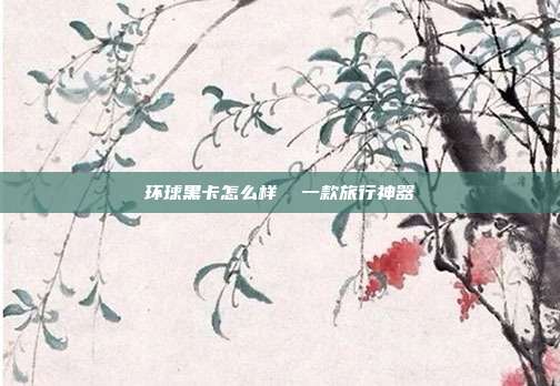 环球黑卡怎么样 一款旅行神器