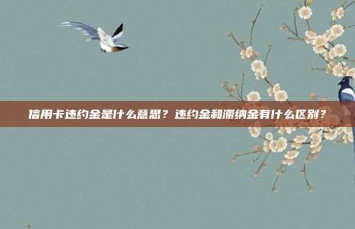 信用卡违约金是什么意思？违约金和滞纳金有什么区别？