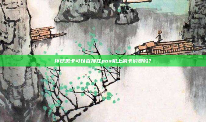 环球黑卡可以直接在pos机上刷卡消费吗？