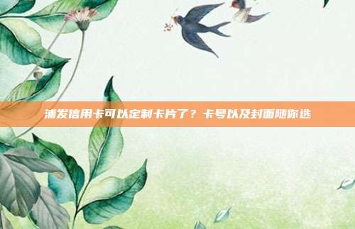浦发信用卡可以定制卡片了？卡号以及封面随你选