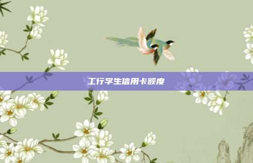 工行学生信用卡额度