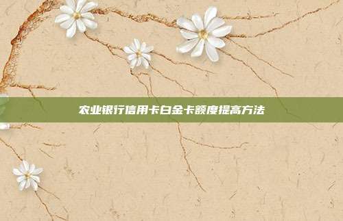 农业银行信用卡白金卡额度提高方法