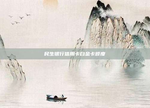 民生银行信用卡白金卡额度