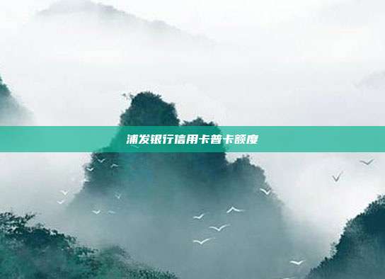 浦发银行信用卡普卡额度